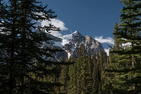 View on the mount Fairview from the forest around lake Louise Stock Photos