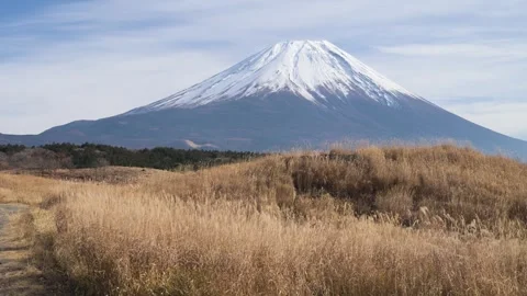View of Mount Fuji and silver grass from Asagiri plateau, Yamanashi, Japan Stock Footage 325833699