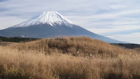View of Mount Fuji and silver grass from Asagiri plateau, Yamanashi, Japan Stock Footage 325833700