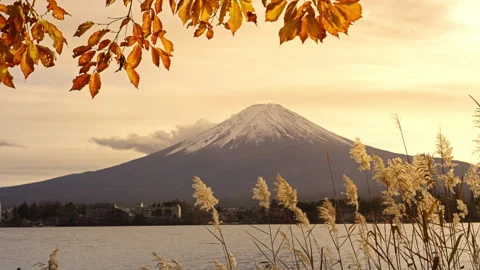 View of Mount Fuji behind lake Kawaguchiko during golden sunset Stock Footage 296664815