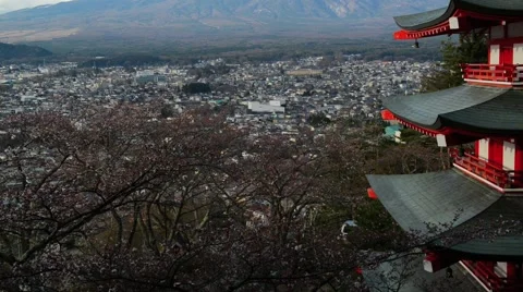 View of Mount Fuji from Chureito Pagoda, tilt up Stock Footage 40648105