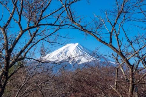 View of Mount Fuji, commonly called Fuji san in Japanese, Mount Fuji's Stock Photos