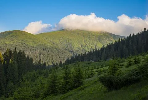 View of Mount Hoverla Stock Photos
