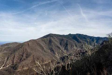 View Of Mount LeConte In Late Fall 写真素材