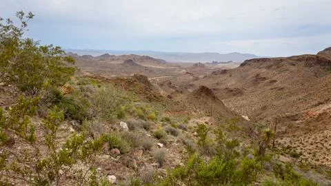 View of the Mount Nutt wilderness a dry desert environment Stock Photos