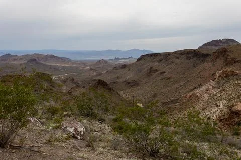 View of the Mount Nutt wilderness a dry desert environment Stock Photos