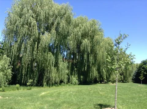 View Mount Park Stock-Fotos