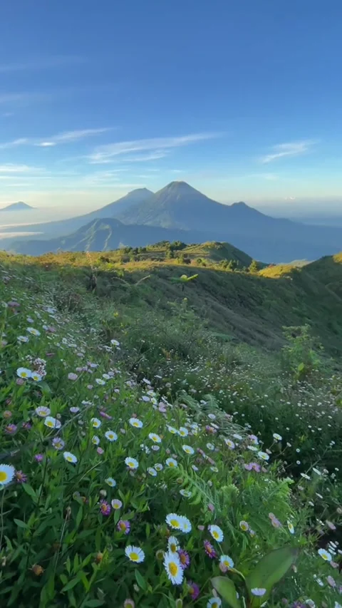 View of Mount Prau Stock Footage 293030048