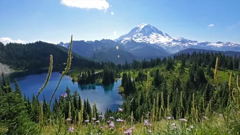 View of Mount Rainier and Eunice Lake from Tolmie Peak Trail, Washington, USA Stock Footage 332084051