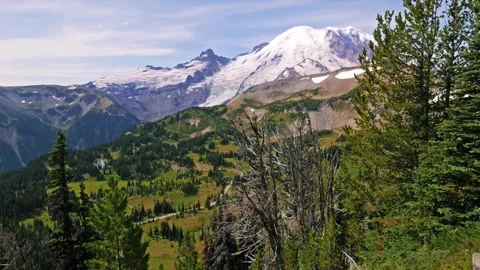 View of Mount Rainier from Berkeley Park Trail, Mount Rainier National Park Stock Footage 332086866