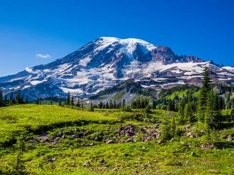View of Mount Rainier from Paradise Stock Photos