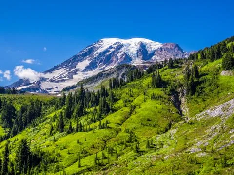 View of Mount Rainier from Paradise Stock Photos