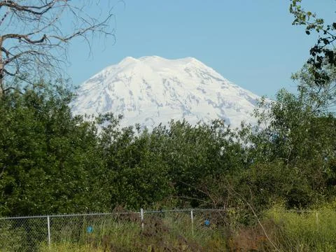 A view of Mount Rainier Stock Photos