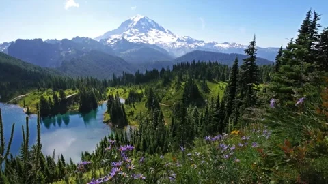 View of Mount Rainier from Tolmie Peak Trail Overlooking Eunice Lake, Mount Rain Stock Footage 332084060