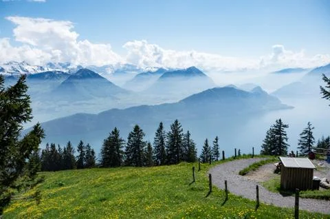 View from mount rigi of lake lucerne, the local flora and surrounding mountai Stock Photos