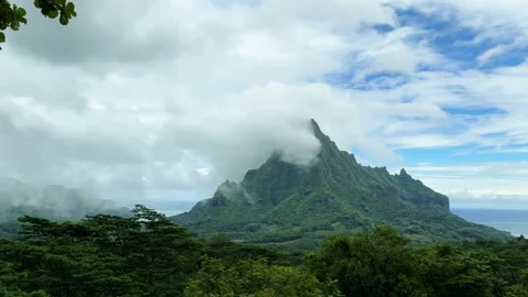 A view of Mount Rotui and the rainforest after the rain, from Belvedere Loo.. Vidéo 333951474