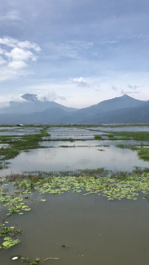 View of mount sindoro sumbing from rawa pening semarang Stock Footage 308428797