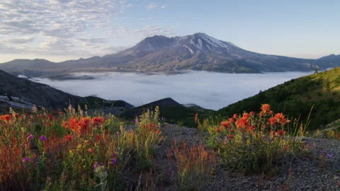View of Mount St. Helens Stock Footage 246073043