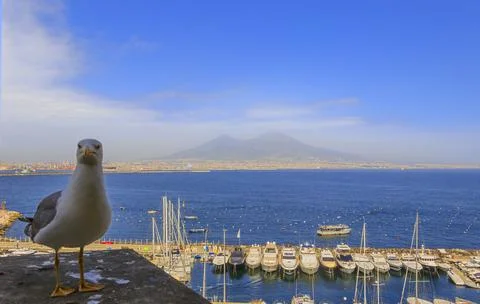 View of the Mount Vesuvius, Naples. Stock Photos