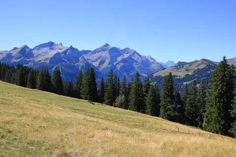 View from Mount Wispile, Gstaad. Stock Photos