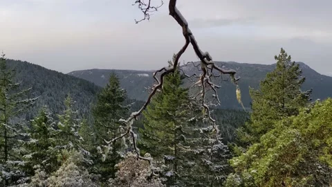 View at Mount Work Stock Footage 172566930