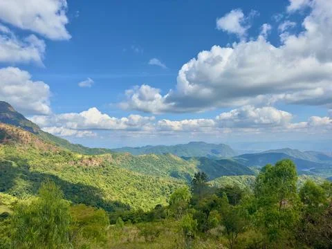 View of mountain and forest with cloudy sky 스톡 사진