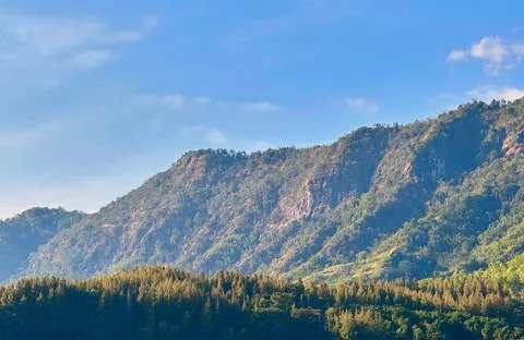 View of mountain and forest with cloudy sky 스톡 사진