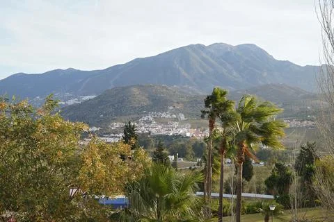 View on a a mountain and large palmtrees at Venuela , Andalusia , Spain Stock Photos