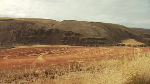 View of mountain and ranch in Arlington Stock Footage 54593823