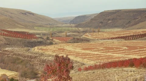 View of mountain and ranch in Arlington Stock Footage 54593827