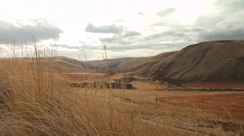 View of mountain and ranch in Arlington Stock Footage 54593835