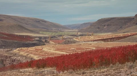 View of mountain and ranch in Arlington Stock Footage 54593859