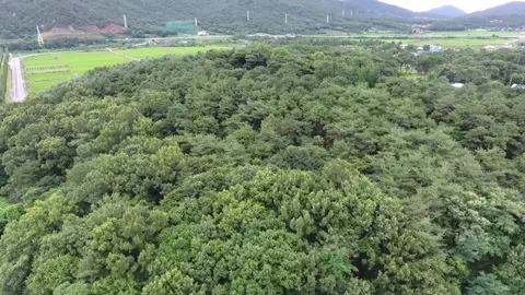 View of the mountain and river Video stock 310216029