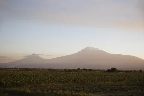 View of mountain Ararat Stock Photos