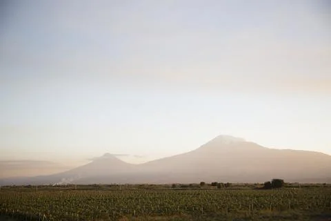 View of mountain Ararat Stock Photos