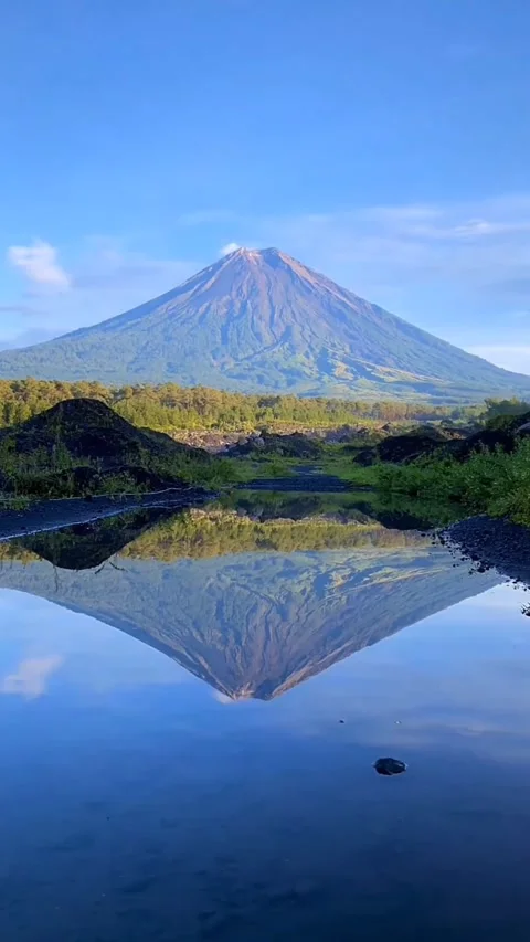 View with mountain background Video stock 274142547