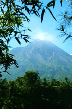 A View of Mountain From Behind The Trees Stock Photos