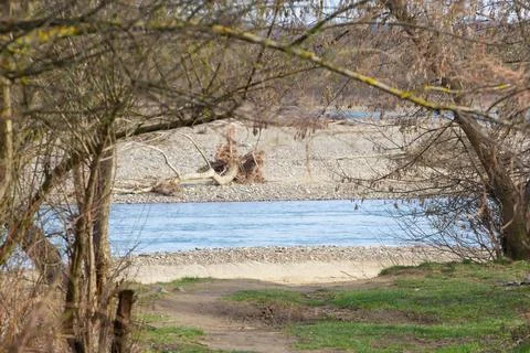 View of the mountain blue river through tree branches. Stock Photos