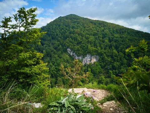 View of the mountain from the cliff Stock Photos