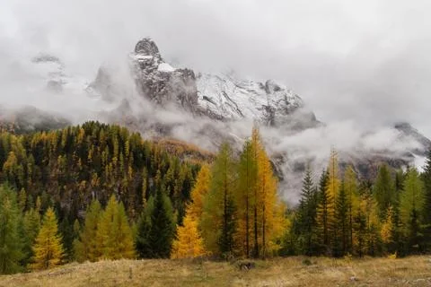 View of the mountain clouds and trees in autumn colors, South Tirol, Italian Stock Photos