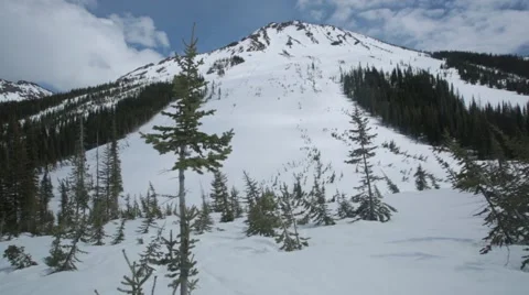 View of mountain covered with snow in forest Stock Footage 49012097
