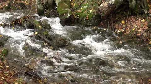 View of a mountain creek Stock Footage 56080256