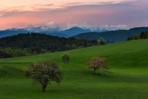 View of mountain field and meadow in the heart of Europe Stock Photos