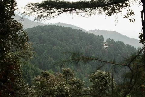 A view of mountain filled with trees from the road side. Stock Photos
