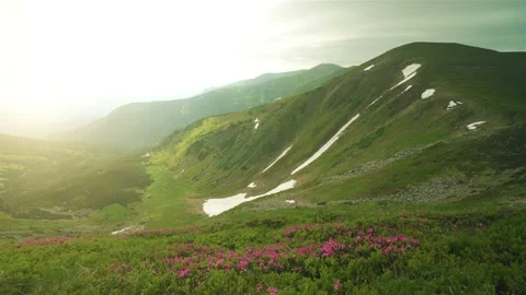 View on Mountain Flowers Landscape at sunset Stock Footage 166947619