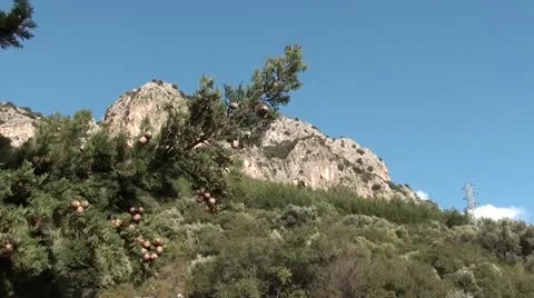 View on a mountain Stock Footage 11287501