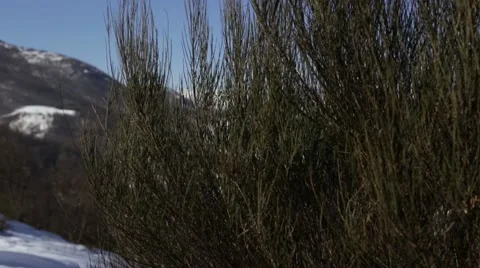 View of a mountain 動画素材 47427962