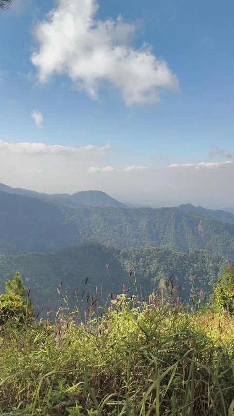 View from the mountain Stock Footage 339384889