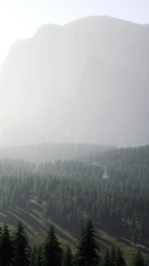 View of a mountain with forest during morning light in a remote area Video stock 335093965