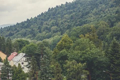 View of mountain forest landscape under sunlight in the middle Stock Photos